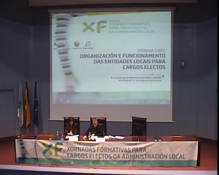 Organizaci&oacute;n municipal: &oacute;rganos de goberno unipersonais e colexiados. R&eacute;xime competencial.